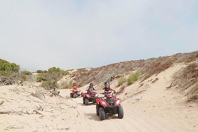3h quad bike: Thrills in the beach and dunes - Beyond the Beach: Cap Sim and Winding Forest Tracks