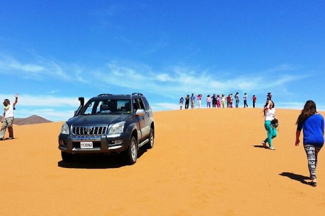 4×4 Jeep Desert Safari Tour with Lunch and Camel Ride - Key things you will notice on this safari