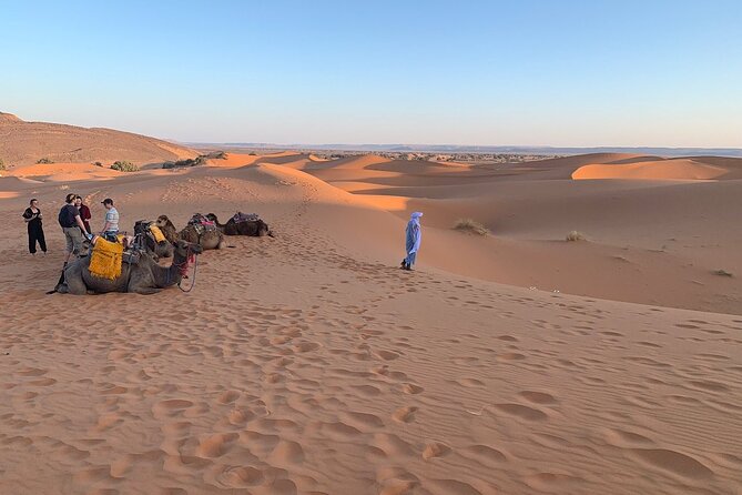 4×4 Jeep Desert Safari Tour with Lunch and Camel Ride - Sidi Rbat fishermen’s caves and shell-hunting at the shore