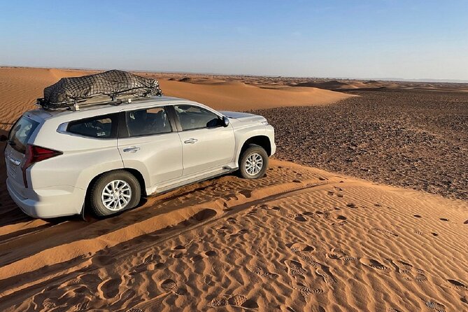4×4 Jeep Desert Safari Tour with Lunch and Camel Ride - Souss Massa National Park: wildlife spotting with real chances, not a promise
