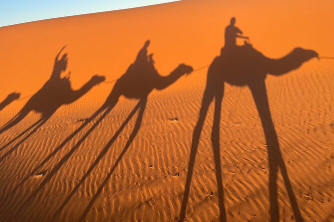 4-Day, 3-Night Marrakech to Marrakech Desert tour - Day 3: Sunrise dunes, shower and breakfast, Rissani souks, then Ouarzazate