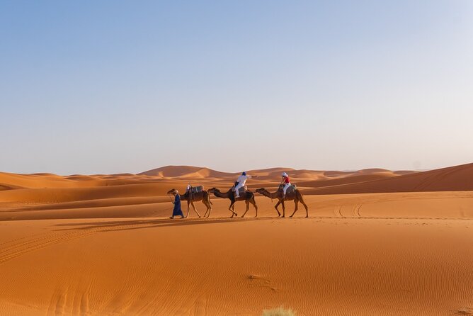 4 Day Authentic Desert Tour From Fes To Marrakech - The Big Picture: How Fez to Marrakech Feels Over 4 Days