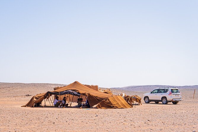 4 Day Authentic Desert Tour From Fes To Marrakech - Day 2: Khamlia Gnawa, M’Fis Off-Road, Berber Tent Tea, Then Erg Chebbi Camel Trek