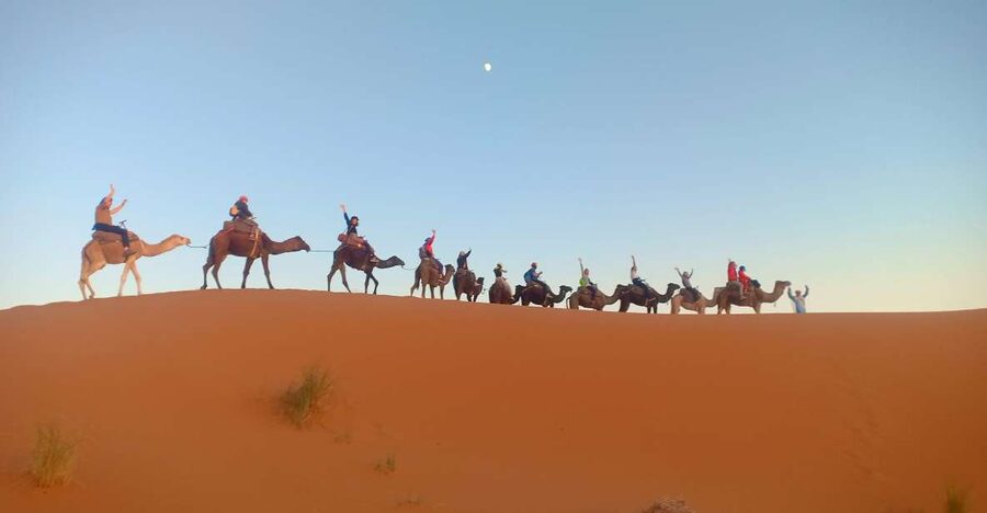 4-Day Marrakech to Merzouga Sahara Adventure & Camel Trek - Todra Gorge and Tinghir: palms, canyons, and cooperative culture