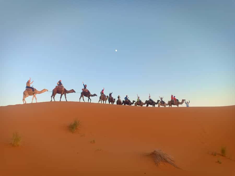 4-Day Marrakech to Merzouga Sahara Adventure & Camel Trek - Erg Chebbi camel trek: sunset, stars, and the night you remember