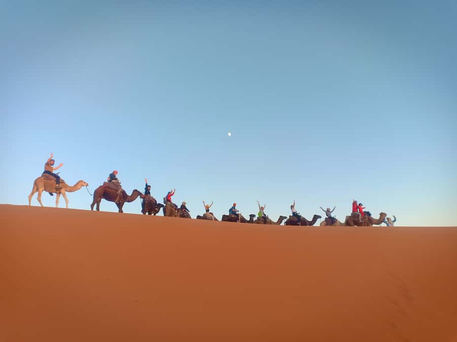 4-Day Marrakech to Merzouga Sahara Adventure & Camel Trek - Price and value: what $143 actually buys you