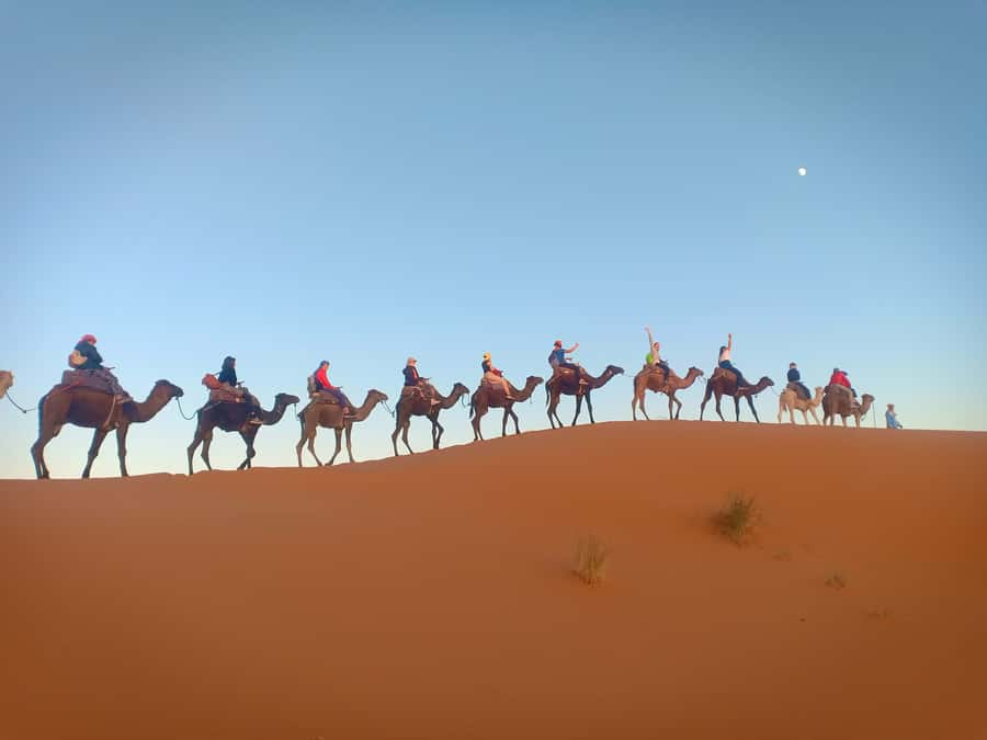 4-Day Marrakech to Merzouga Sahara Adventure & Camel Trek - Logistics that affect your comfort: group size, pickup points, and long days