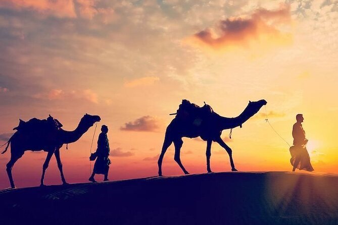 4-Day Private South Desert Tour From Agadir Ending in Marrakech - The Agadir-to-Marrakech payoff: deserts, dunes, and real stops