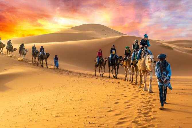 4-Day Private South Desert Tour From Agadir Ending in Marrakech - Day 2: Draa Valley palms, Khemliya Gnawa, camel ride to Erg Chebbi, White Camel camp