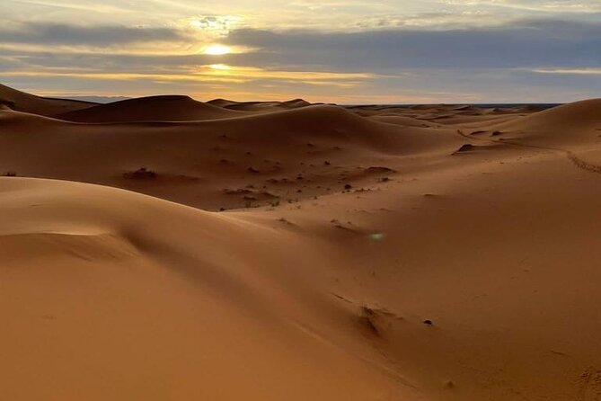 4 Days Desert Tour From Marrakech to Fes via Merzouga Dunes - Day 4: Camel trek back, Ziz Valley views, Ifrane cedar forest, and arrival in Fez