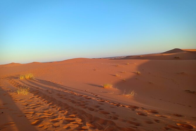 4 Days Desert Tours from Marrakech to Merzouga - Group size, comfort, and why the guide matters (Said)