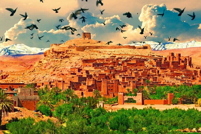 4-Days Marrakech to Marrakech Désert Tour - Who should book this Morocco desert tour, and who should think twice