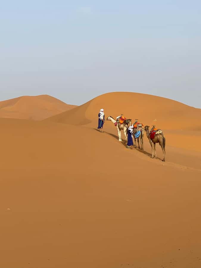 4 days Sahara Desert Tour From Marrakech To Merzouga dunes - Marrakech to Tizi N Tichka: the Atlas warmup you actually feel