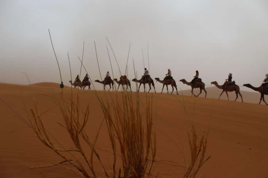 4 days Sahara Desert Tour From Marrakech To Merzouga dunes - Dadès Valley and Kasbah Safari Rose: where the day slows down