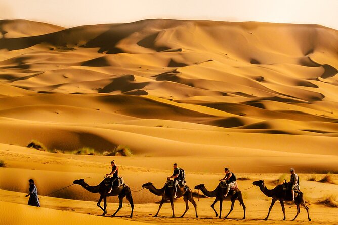 4 Days Sahara Desert VIP Private Tour from Marrakech & Luxuy Camp - Day 1: Tizi NTichka to UNESCO Ait Ben Haddou, then into Dades