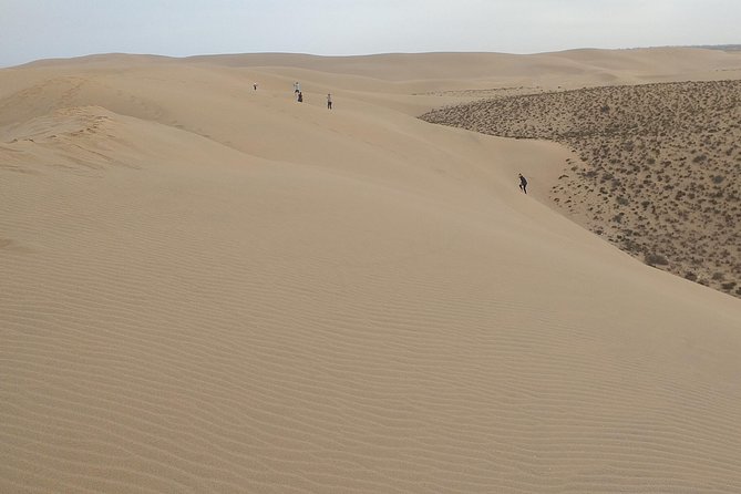 4 hours.Agadir : Trip to Sahara and tifnit fishing village - Comfort, Pace, and Who Should Choose This Half-Day Tour