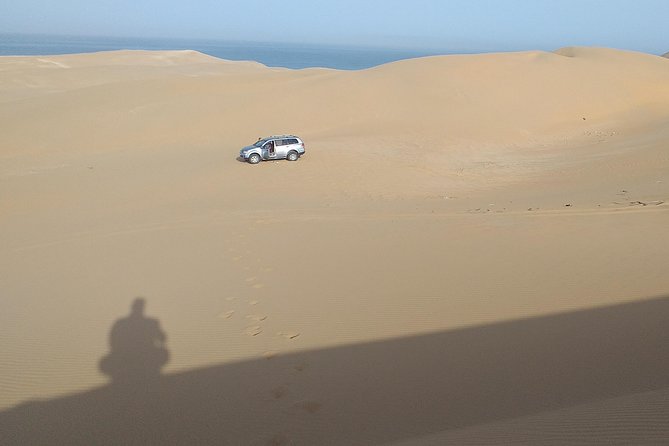 4 hours.Agadir : Trip to Sahara and tifnit fishing village - Price and Value at About $93.06 Per Person