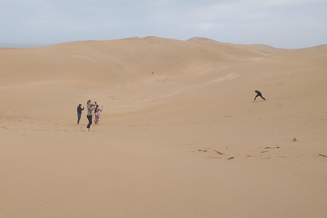 4 hours.Agadir : Trip to Sahara and tifnit fishing village - Tifnit Fishing Village Stop and Big Sundunes Time