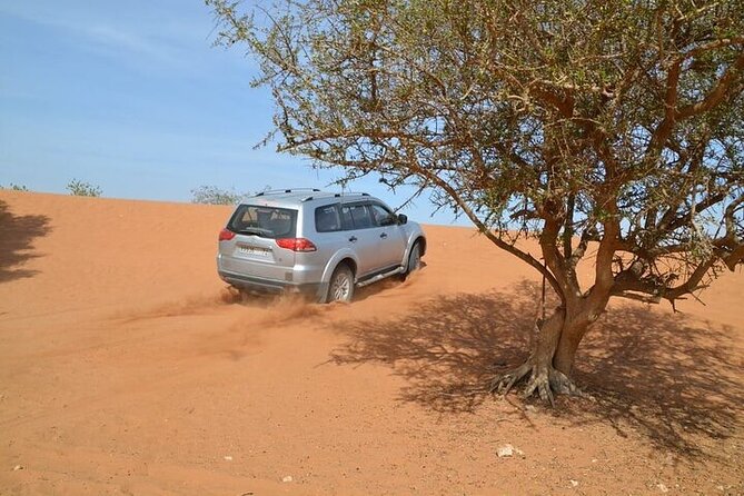 4 WD Agadir Small desert discovery including lunch - Should You Book the Agadir 4WD Small Desert Discovery With Lunch?