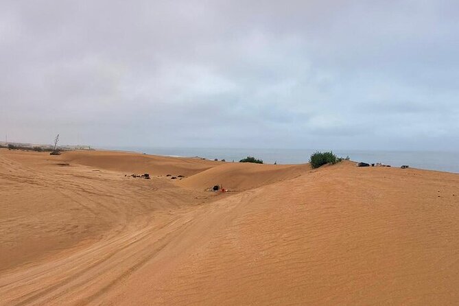 4x4 Jeep Safari in Agadir Mini Sahara and Berber Lunch - Souss River valley stops, agriculture, and a look at daily Berber life