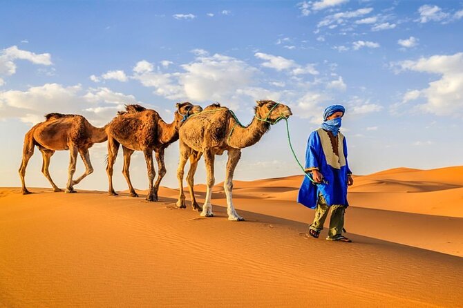 5 Day Private Morocco Tour from Casablanca - Casablanca highlights: Hassan II Mosque, Corniche views, Habous, and a surprise church