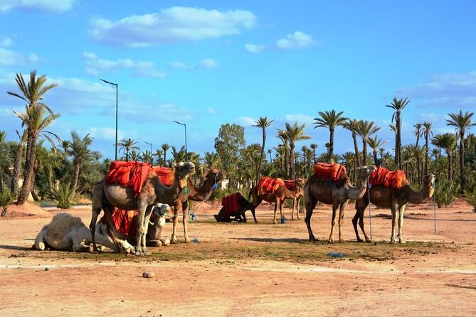 5 Day Private Morocco Tour from Casablanca - Fez for makers and learners: Nejjarine crafts, Bab Boujloud, Kairaouine, and the tannery