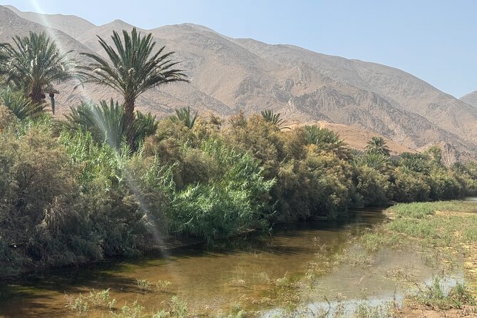 5-Day Private Tour to Sahara and ErgChebbi from Marrakech - Private Marrakech to Erg Chebbi: What Makes This One Work