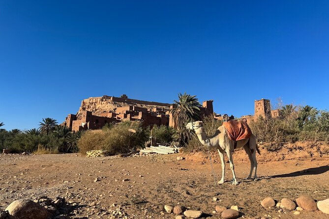 5-Day Private Tour to Sahara and ErgChebbi from Marrakech - Price and What You Actually Get for $743.03 per Person