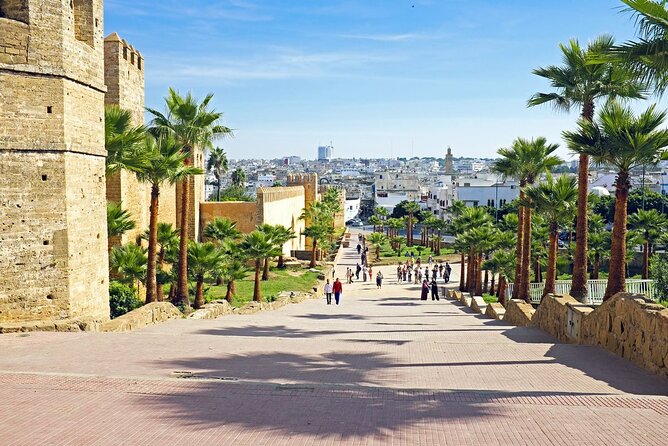 5 days private Casablanca tour to Marrakech via Fès and desert - Meals on the trip: what is included, what to plan for