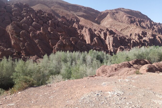 5 Days Private Tour from Casablanca to Fes and Sahara Desert - Camel ride and desert camp: what you should plan for