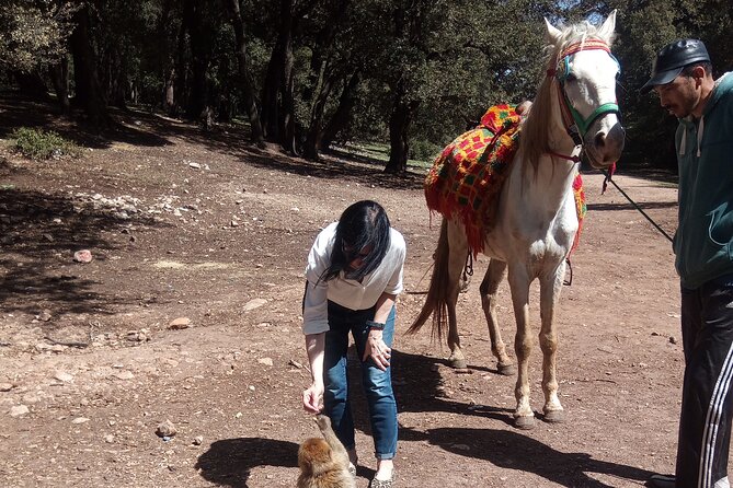 5 Days Private Tour from Casablanca to Fes and Sahara Desert - Price and value: what $1,800.25 per person is really buying