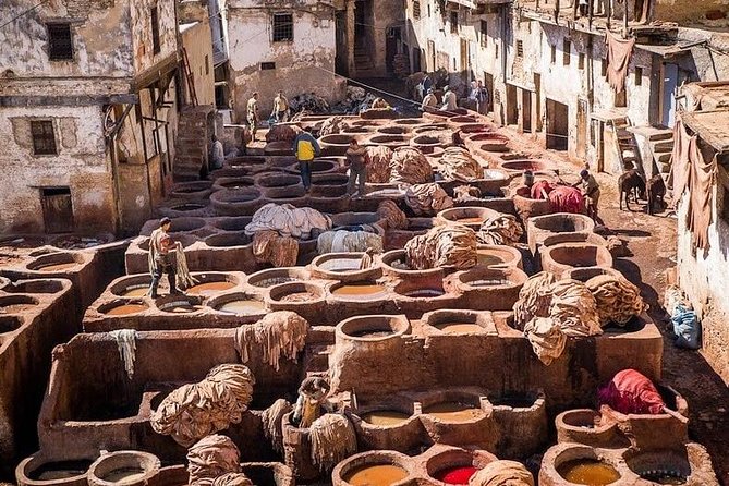 5-Hour Private Walking Tour of the Medina in Fez - Starting at Dar el-Makhzen, the Royal Palace of Fez gates
