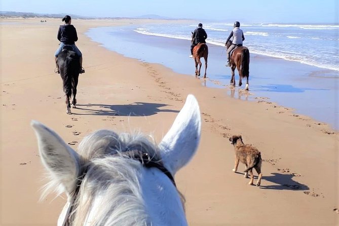 5 hours ride + picnic - Picnic by a log fire: food you’ll remember, not just snack time