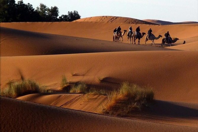 6 Days: From Casablanca Morocco Desert - Merzouga Sunrise, Camel Time, and Desert Camp Meals That Actually Matter