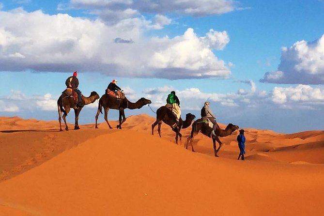 6 Days: From Casablanca Morocco Desert - How the Best Guides Show Up: Expect Warm Help, Especially with Timing