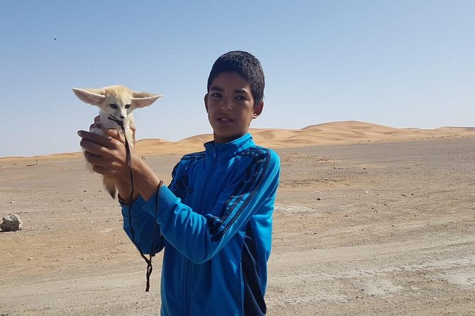 7-days: Casablanca to Chefchaouen then Fes and Sahara Desert - Camel Trekking - Day 6: Todra Gorge, rug co-ops, and a night in Boumalne Dades