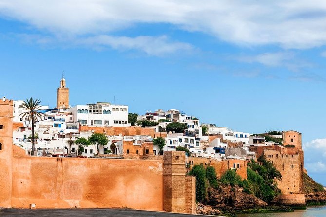 7 Days Discovery The Atlas Mountains & Luxury Sahara Desert From Casablanca - Middle Atlas to the Sahara Edge: Cedar Forest, Apes, and the Ziz Gorges