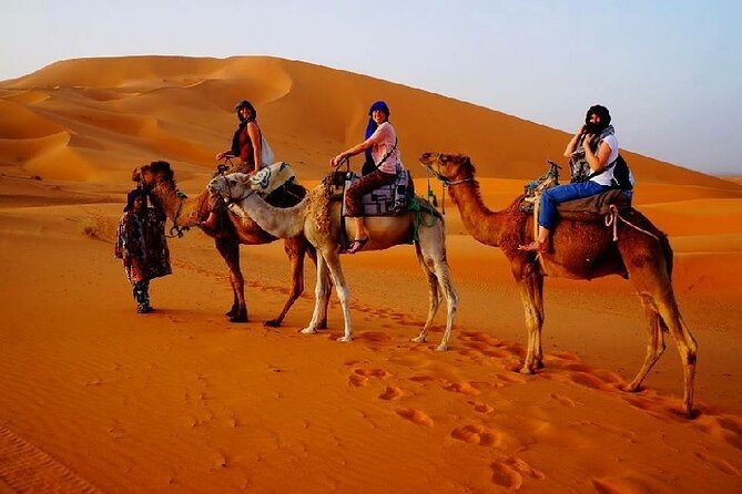 7 Days Luxury Desert Tour From Casablanca to Marrakech via fez -Camel trekking - Sunrise over dunes, then Todra Gorge kasbah views in Dades Valley