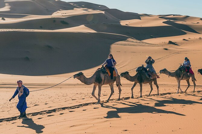 7 Days Luxury Desert Tour From Casablanca to Marrakech via fez -Camel trekking - Marrakech medina highlights with a guide, plus Jamaa el Fna at night