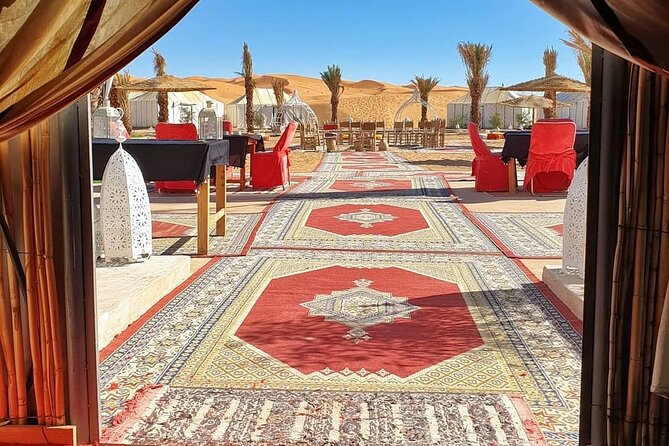 7 days Tour from Tangier to Marrakech Morocco Tours - Day 4: Ifrane, Azrou Cedar Forest Monkeys, and Toward the Desert