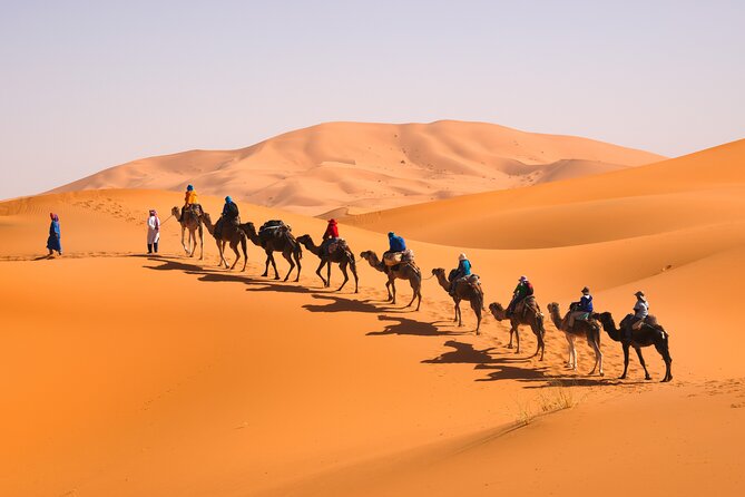 7D Desert Private Tour From Marrakech By Fes And Blue Chefchaouen - Chefchaouen blue city, then Rabat and Hassan II in one smooth finish
