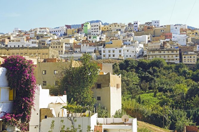 8 - Day Morocco Tour from Casablanca via Chefchaouen & Desert - Key things that make this tour work well