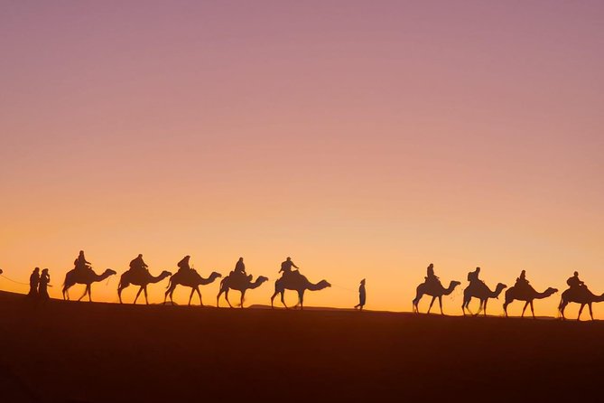 8 Days Tour From Casablanca to Merzouga Desert Fes and Marrakech - From desert camp routines to Todra Gorges and Dades rock formations