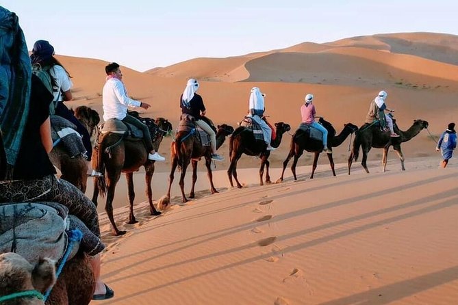 8 Days Tour From Casablanca to Merzouga Desert Fes and Marrakech - Bahia Palace, Saadian Tombs, and Jamaa Elfna, plus souk time that stays fun