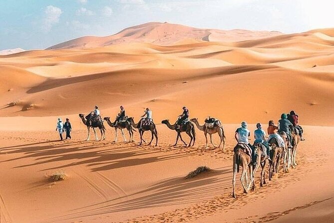 8D Morocco Luxury Private Tour From Casablanca By Imperial Cities - Fes el-Bali maze: souks, tanneries, and a local guide in the right places
