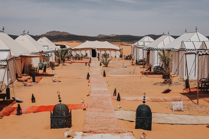9 Days tour from casablanca to the desert via chefchauen , fez - Merzouga desert day: cedar forest, Ziz Valley views, camel ride, starry camp