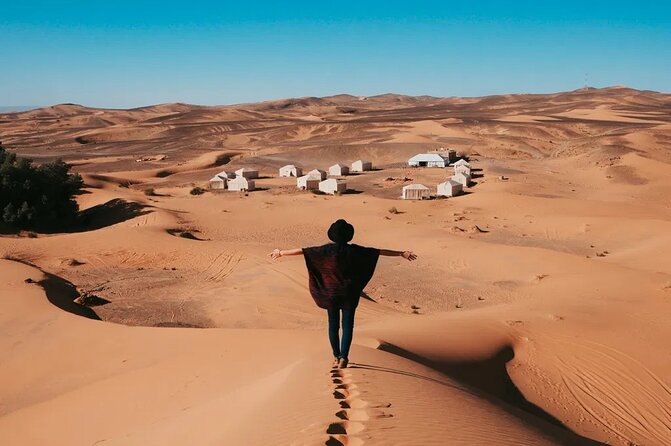 9 Days tour from casablanca to the desert via chefchauen , fez - Dades Gorges and Todra Valley: fossils first, then cliff walks