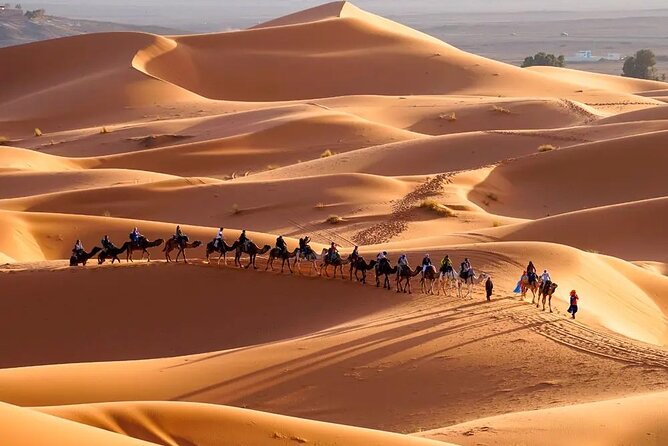 9 Days tour from casablanca to the desert via chefchauen , fez - Marrakech Medina private tour: Koutoubia, souks, and the gardens day