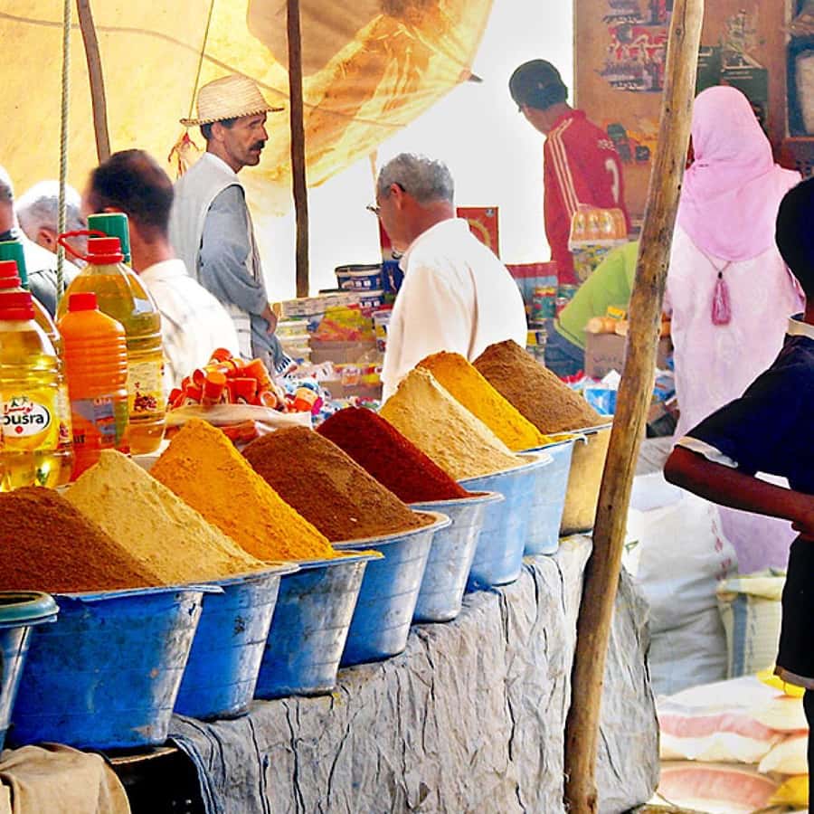 A Day With The Berbers - 3 Valleys Day Trip from Marrakech - Trekking Toubkal National Park: Picking the Right Effort