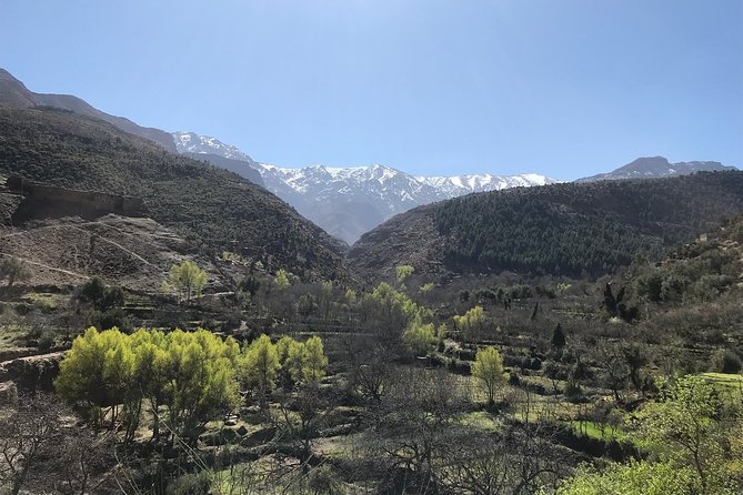 A Journey to Ourika Valley & Waterfall - Argan oil with Amazigh women: practical, hands-on, and chemical-free